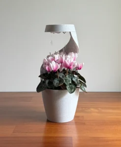 Bình Hoa Để Bàn / Chậu Trồng Cây 2 Tabletop Vase Planter