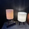 IMG 0895