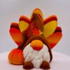 Boy Turkey Gnome 2024 3d model